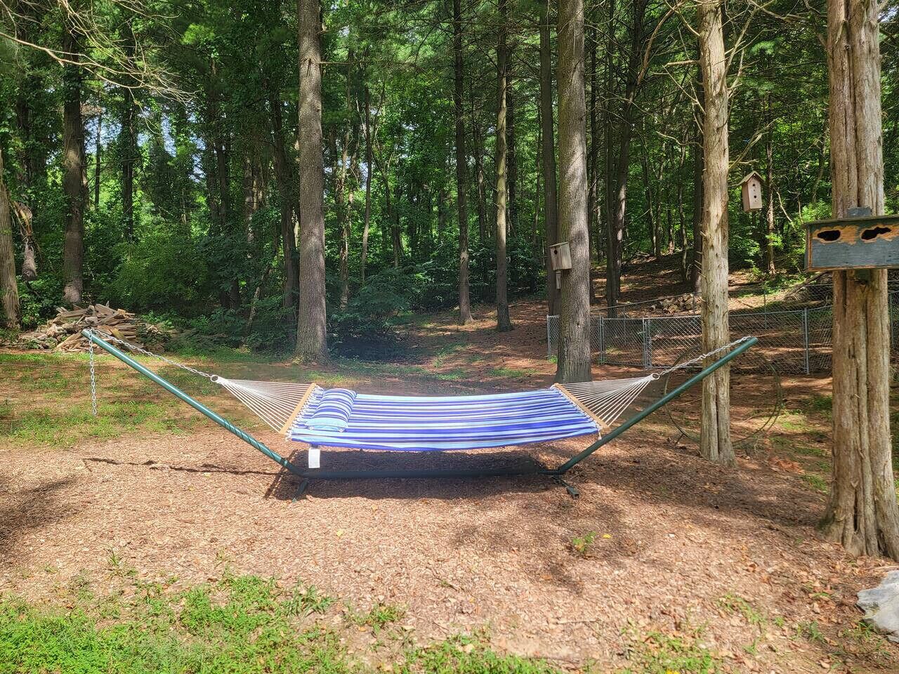 A hammock in a forested area with trees and a birdhouse visible.