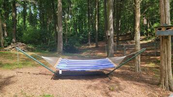 A hammock in a forested area with trees and a birdhouse visible.