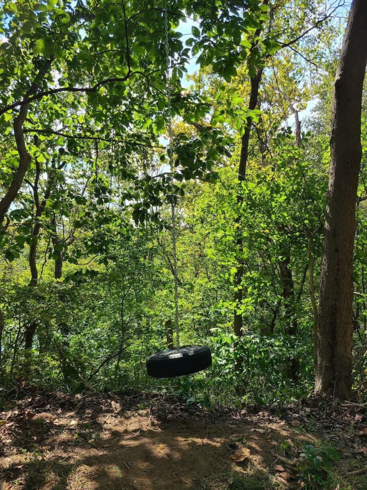 Une zone boisée avec un sentier de terre et une balançoire faite d’un pneu suspendu à un arbre.