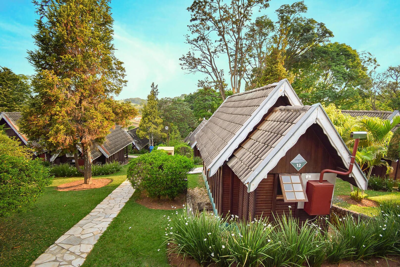 Deluxe Cabin | View from room