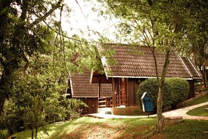 Superior Cabin | View from room