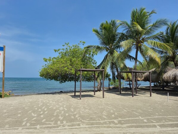 A beach with palm trees, a thatched-roof structure, and a clear blue sky.