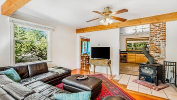 Televisión y estéreo