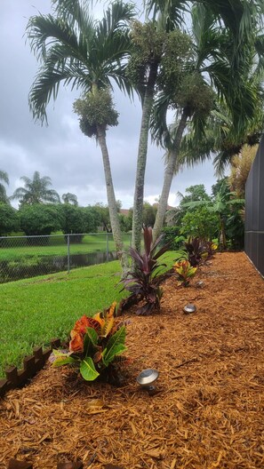 Stroll through the lush garden, surrounded by tropical plants and palm trees, along a paved walkway.