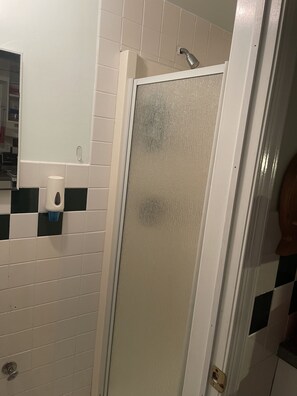 Shower, towels, toilet paper - The Robin's Nest at Elk Lake (Waymart)
