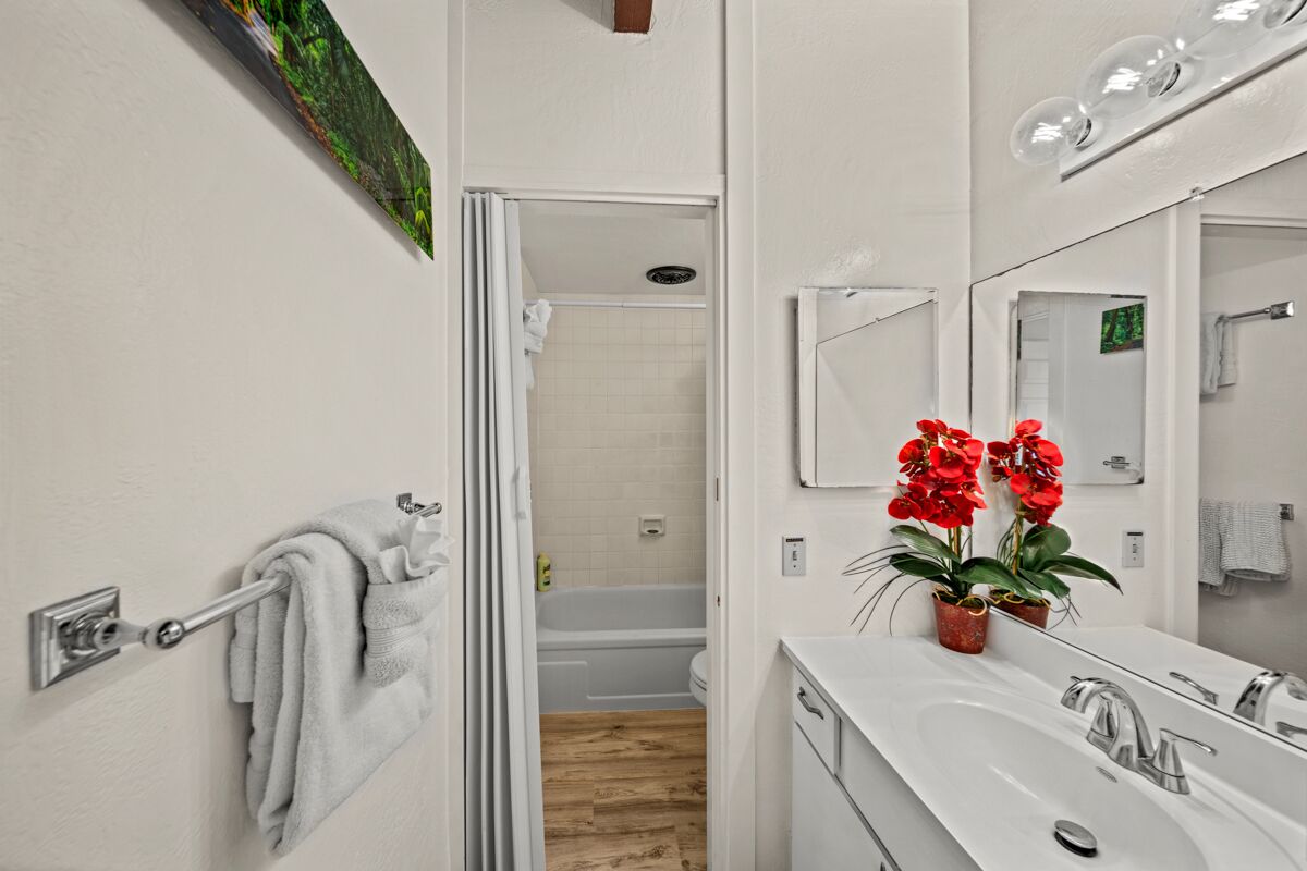 Combined shower/tub, hair dryer, towels, soap