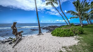 A beach with palm trees, a rocky shoreline, and a clear blue sky.