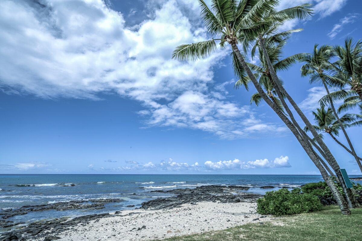 Ein Strand mit Palmen, felsigem Ufer und blauem Himmel.