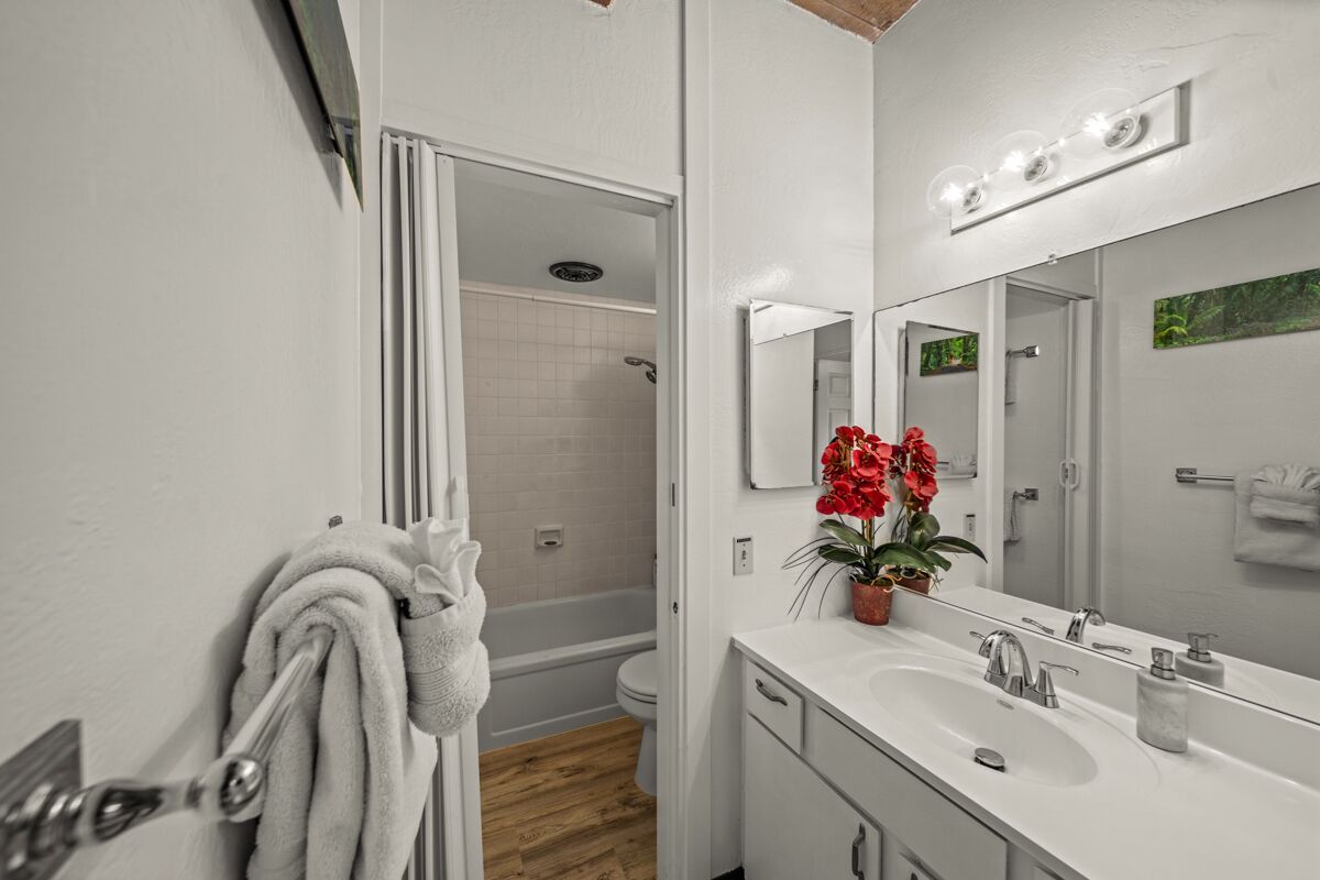 Combined shower/tub, hair dryer, towels, soap