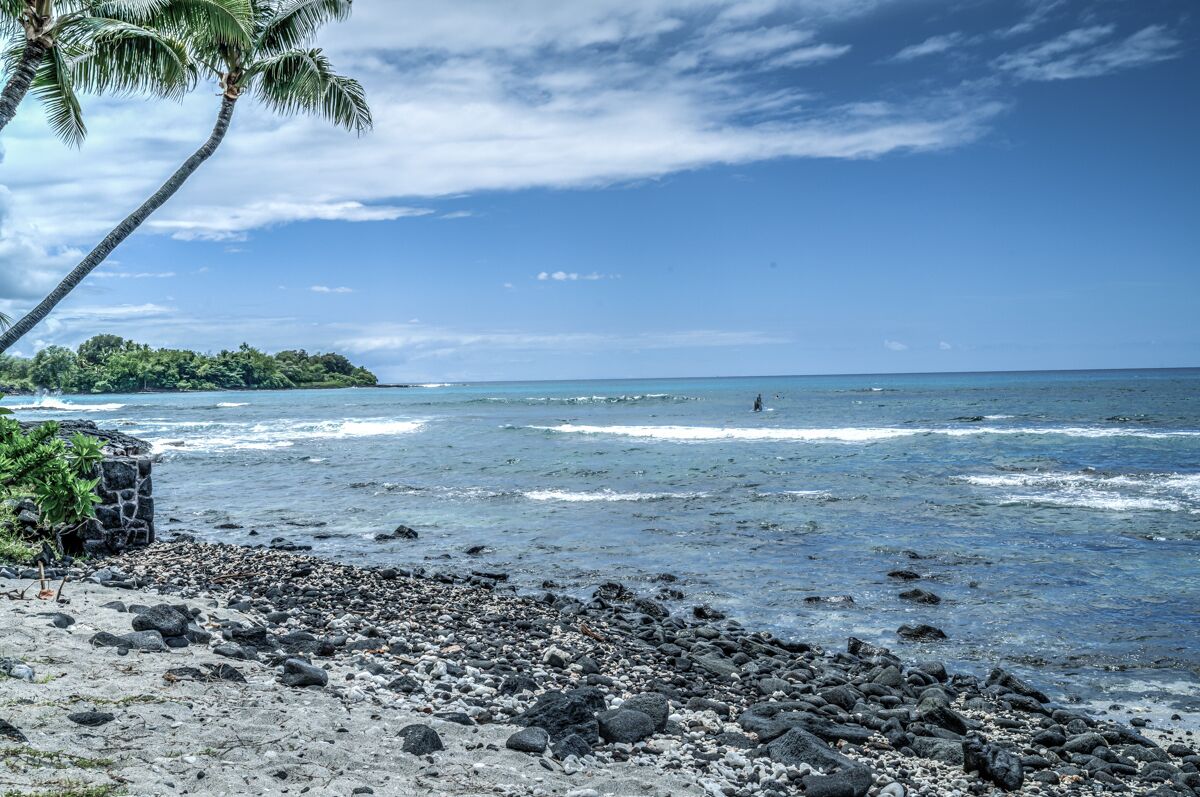 A beach with a rocky shoreline, palm trees, and a distant island.