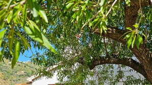 A white building with a stone foundation, a glass door, and a small window. - Holiday Home "Cortijo Airen" with Pool, Mountain View & Wi-Fi (Cómpeta)