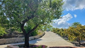 A paved pathway leading uphill, flanked by stone walls and lush greenery. - Holiday Home "Cortijo Airen" with Pool, Mountain View & Wi-Fi (Cómpeta)