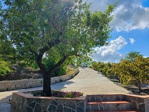 Àrea exterior de l'allotjament