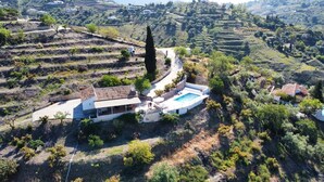 A villa with a swimming pool, terraced vineyards, and a prominent cypress tree. - Holiday Home "Cortijo Airen" with Pool, Mountain View & Wi-Fi (Cómpeta)