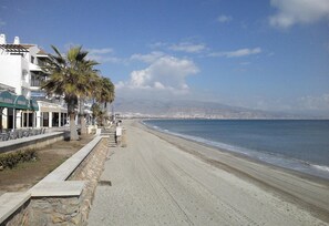 A coastal road with a beach, palm trees, and buildings with signage.