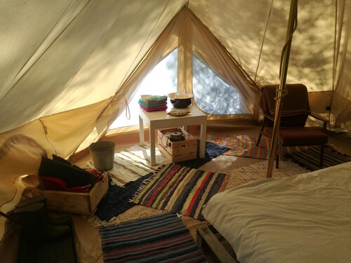 Tent in the czech jungle