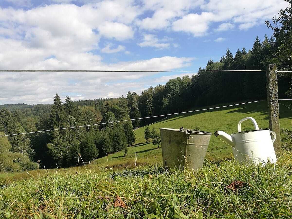 Enceinte de l’hébergement