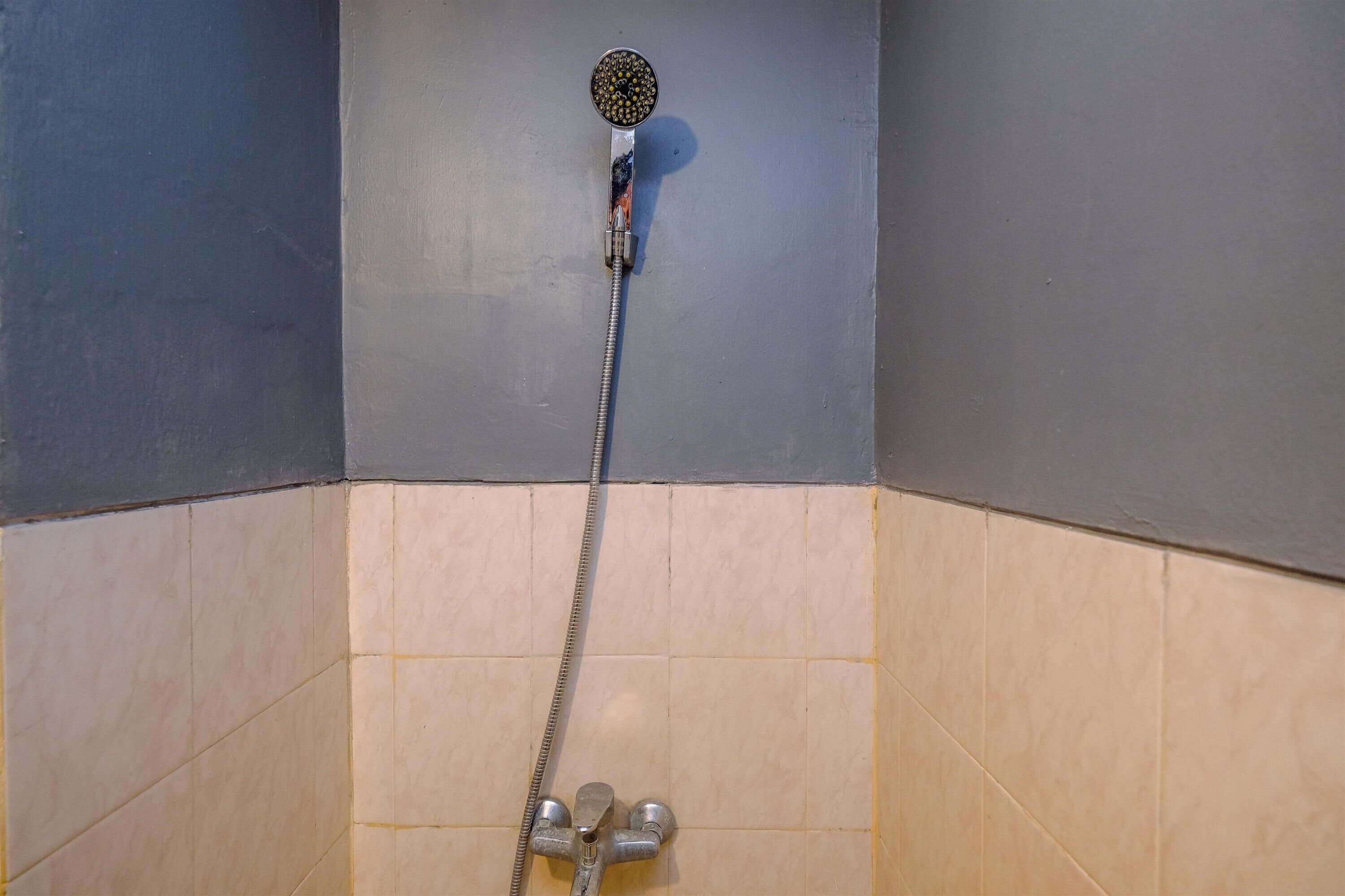 A shower with a handheld showerhead mounted on a wall, a flexible hose, and a handheld control.