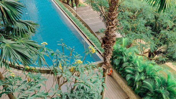 A pool surrounded by lush greenery and a paved walkway.