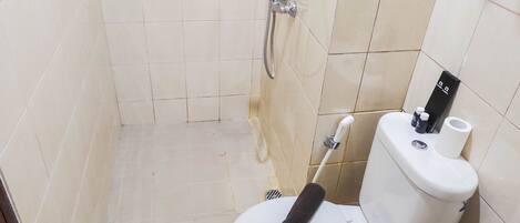 A small bathroom with a toilet, a shower, and a toilet paper holder.