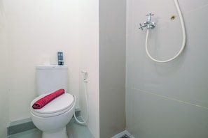 A bathroom with a white toilet, a shower with a handheld showerhead, and a roll of toilet paper on the tank.