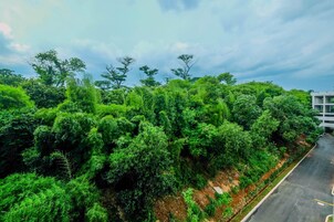 Vista desde la propiedad