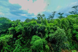 Vistas desde el alojamiento