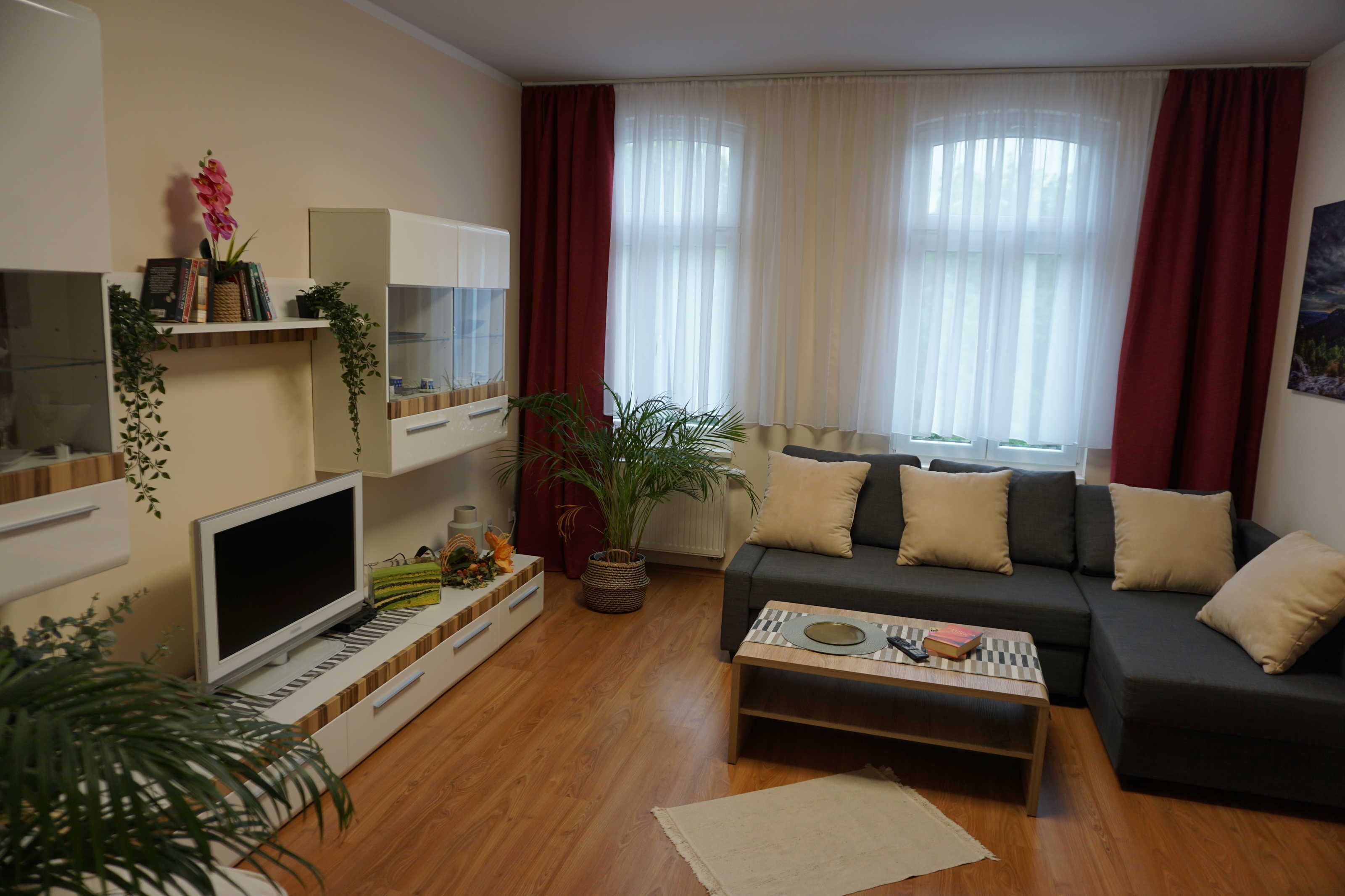 Un saló amb un sofà, una taula de centre, televisió i una planta.