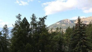 A forested area with a mountain in the background. - Luxury studio 4 pers, ski-in/ski-out, fireplace, balcony, no pets, free wifi (Les Orres)