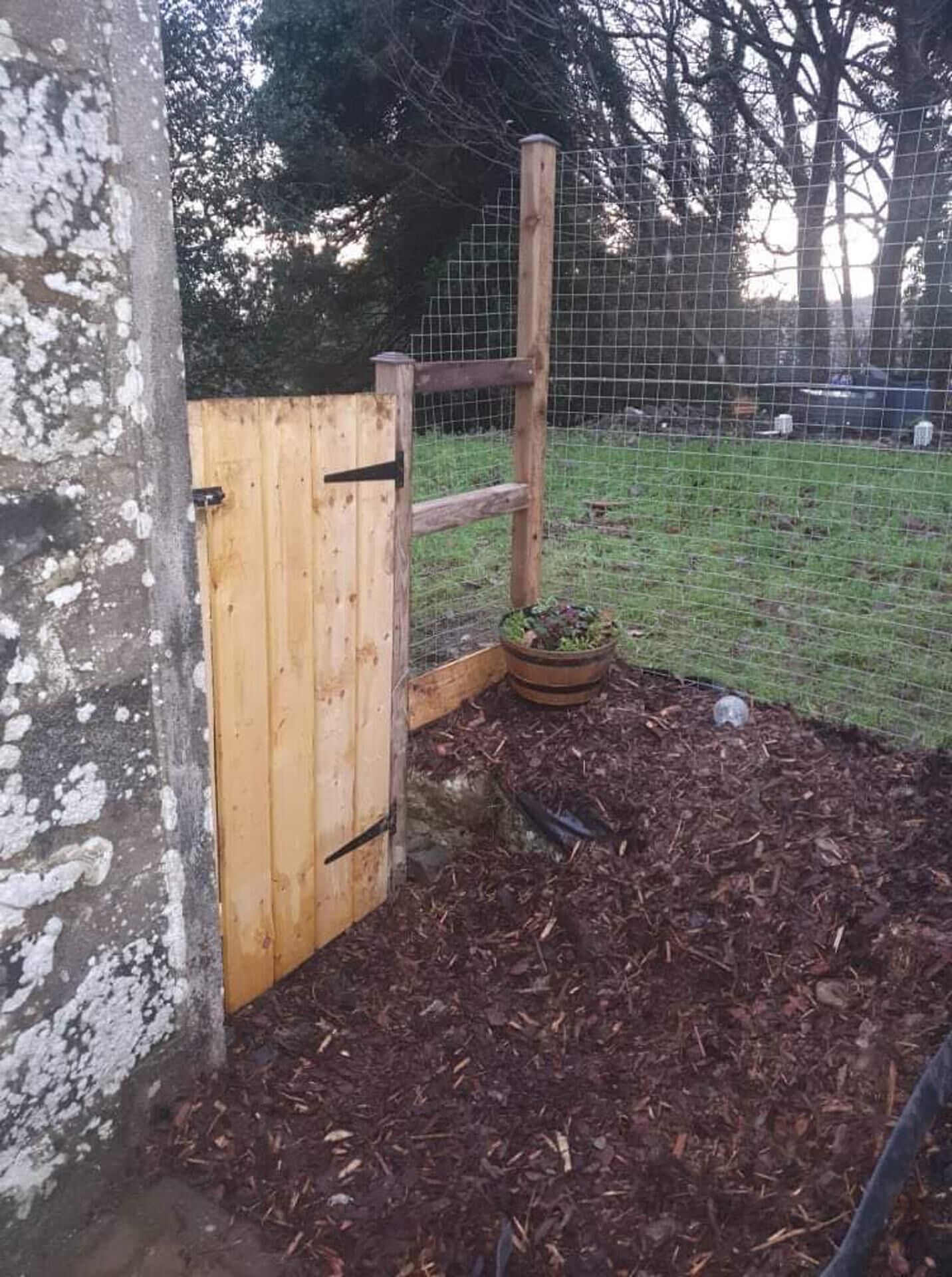 A wooden gate leading to a garden area with mulch and a small planter.