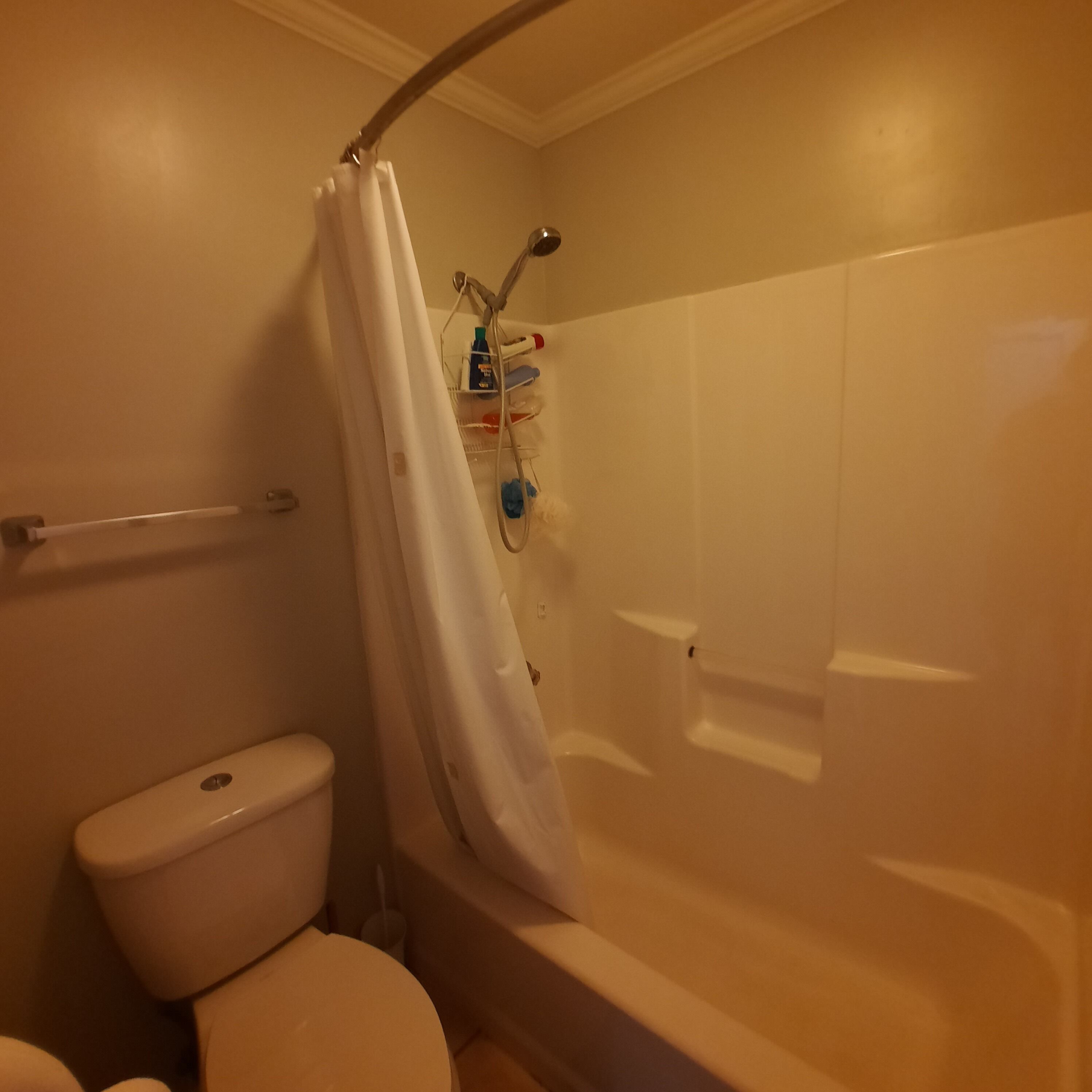 A bathroom with a toilet, a shower with a curtain, and a shelf with toiletries.