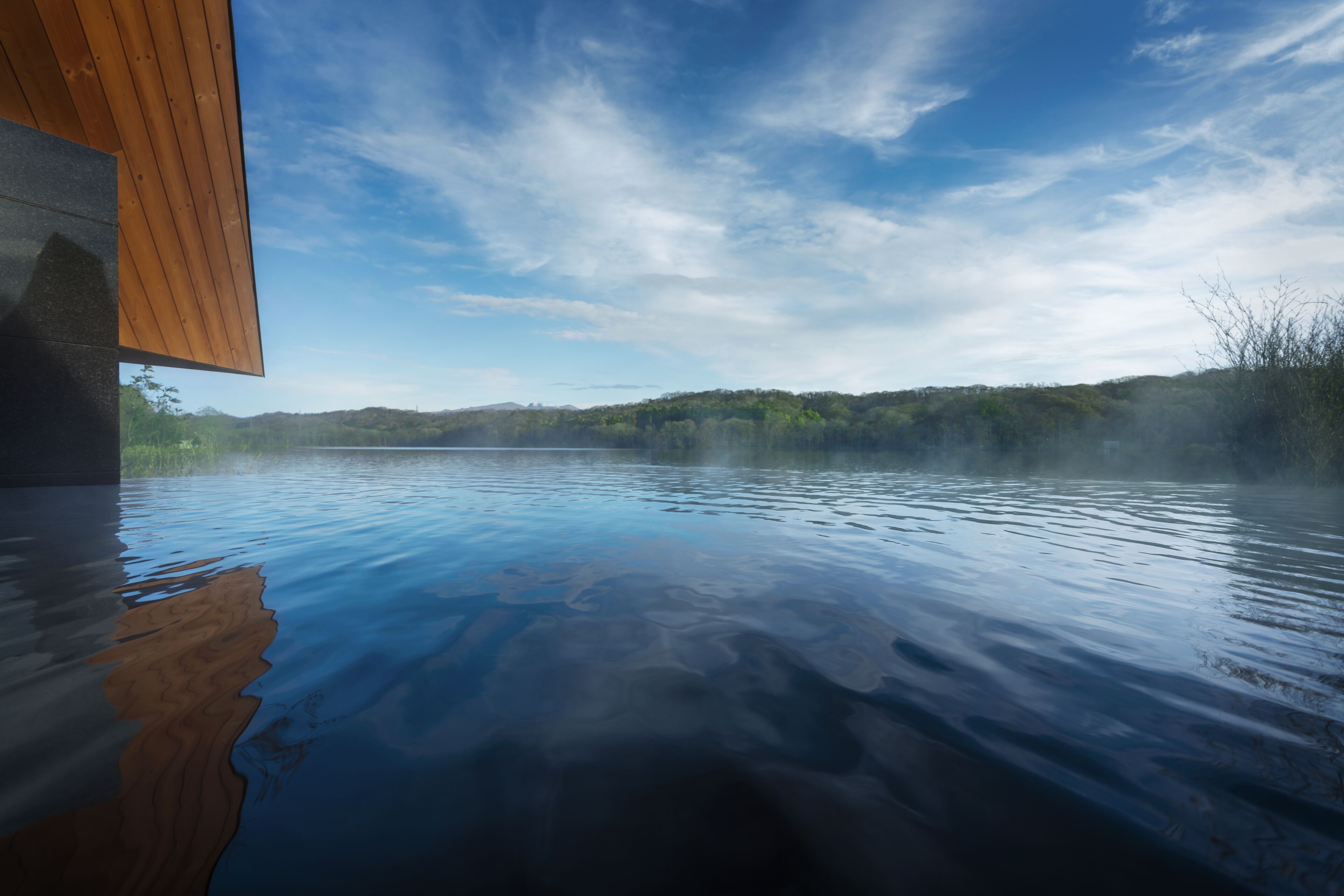Une piscine intérieure paisible, dotée d’une terrasse en bois et offrant une vue sur un paysage boisé.