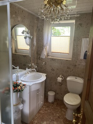 Shower, towels, toilet paper
