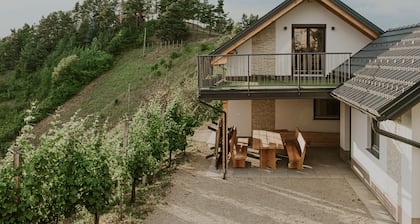 Haloze hills in your hand