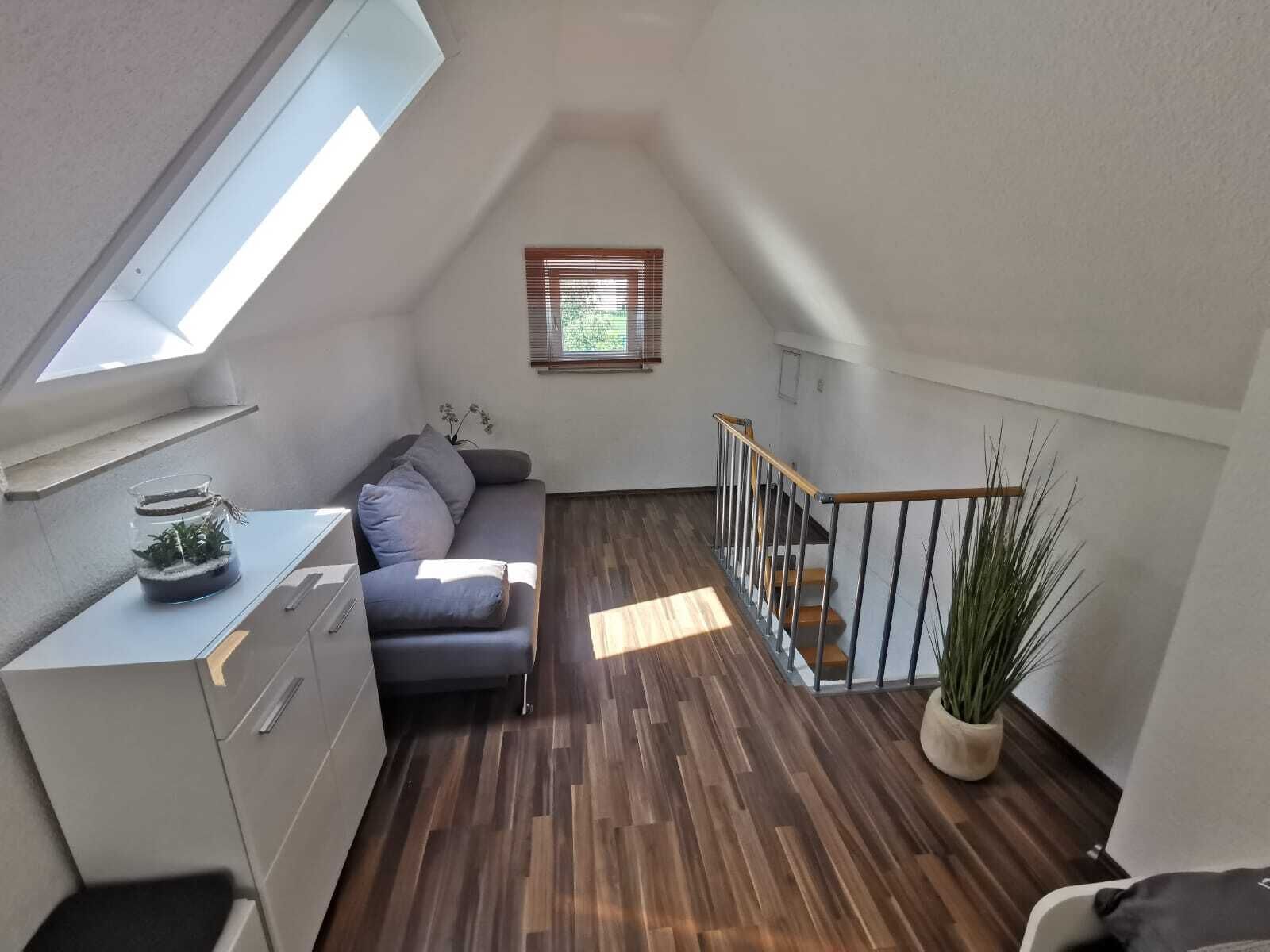 TV, DVD player, books