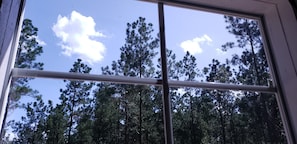 Guests can enjoy a serene view of the surrounding pine forest from the comfort of their room.