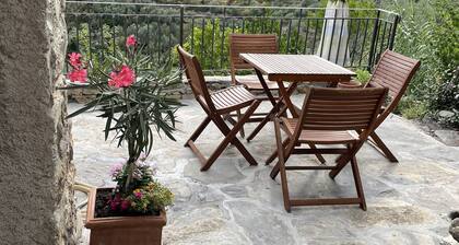 Beautiful, spacious apartment in a natural stone house with sea view in Val Prino.