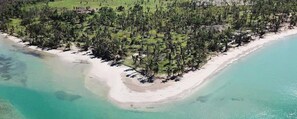 An aerial view of a beach with a dense cluster of trees and a sandy shoreline.