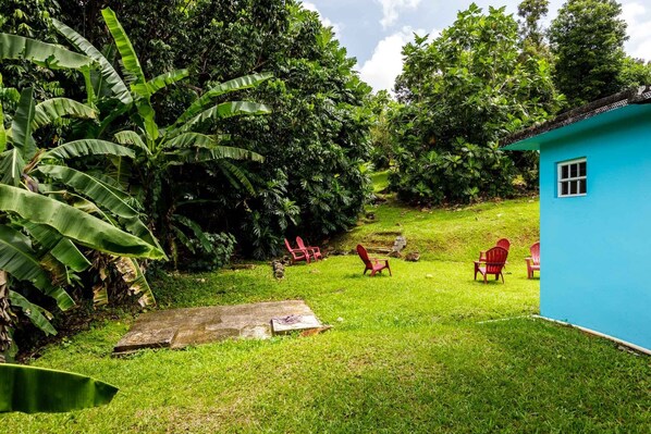 A lush garden with a blue building, red chairs, and a large banana plant.