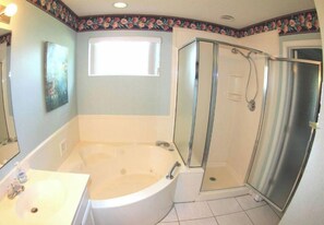 Combined shower/bathtub, jetted bath, hair dryer, bidet