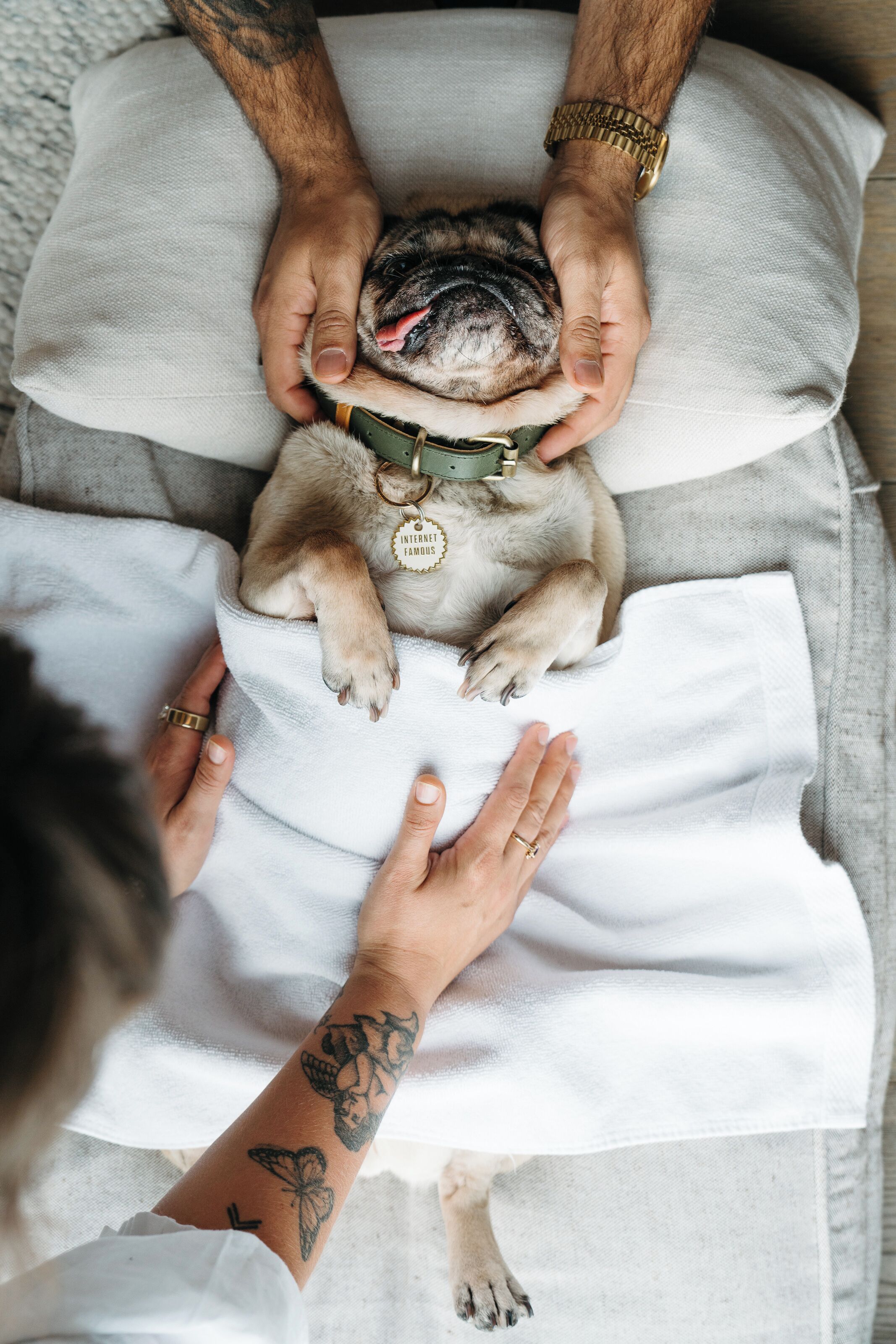 pet-friendly amenities