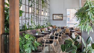 2 bars/lounges, rooftop bar