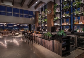 2 bares, bar en la azotea