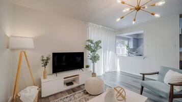 Fernseher, Arbeitsbereiche