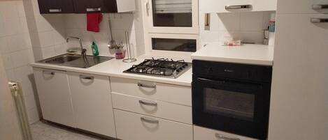 Fridge, oven, dishwasher, cookware/dishes/utensils