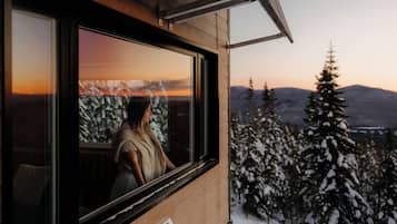Una persona al costat d'una finestra amb vista a un paisatge nevós de trees i muntanyes.