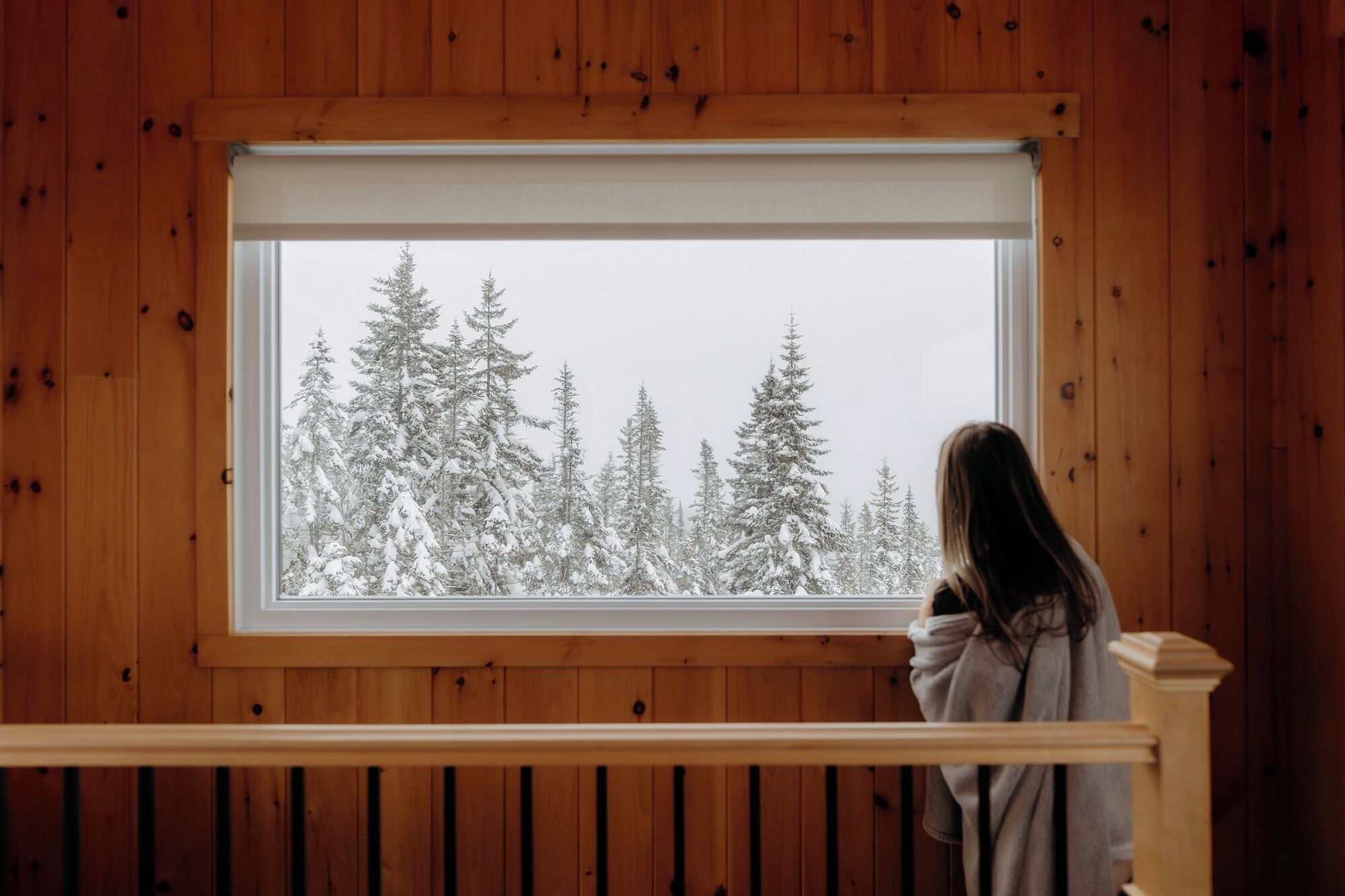 A room with a wooden paneled wall, a window with a view of snow-covered trees.