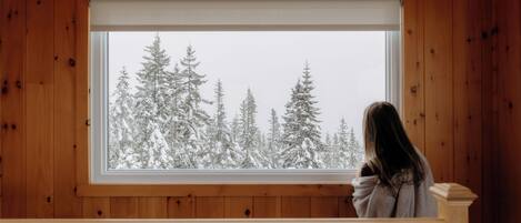 A room with a wooden paneled wall, a window with a view of snow-covered trees.