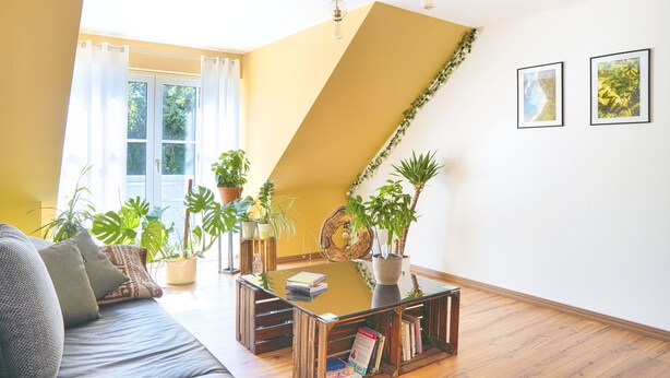 A living room with a sofa, coffee table, and potted plants. - Modern, cozy & central - kitchen, parking space, Netflix & more (Pfaffenhofen an der Ilm)