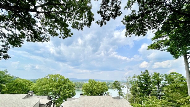 A residential area with multiple houses, a clear sky, and a river in the background. - NEW Two Bedroom Lake Getaway! Serene and CLEAN! (Hot Springs)
